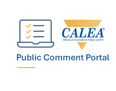 public comment portal