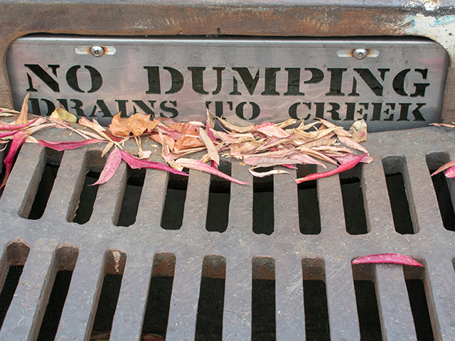 What Is Stormwater? A steel plate warning sign sits above a side street storm drain,. It reads "No Dumping drains to creek". Red and yellow fall leaves on the storm drain.