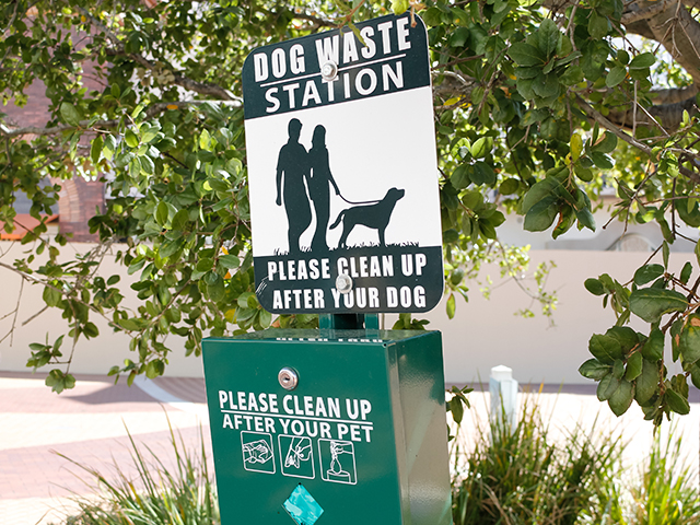 Stormwater Management Pet Waste Close up of an outdoor pet waste station