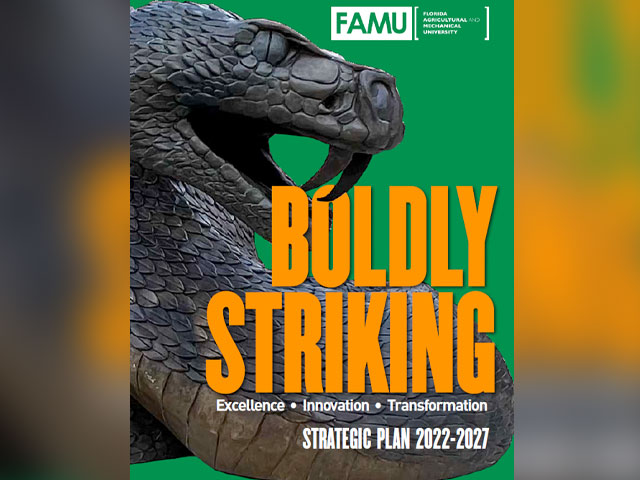 boldu striking strategic plan 2022-2027 cover page