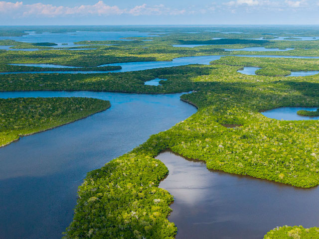 Overhead view of river delta