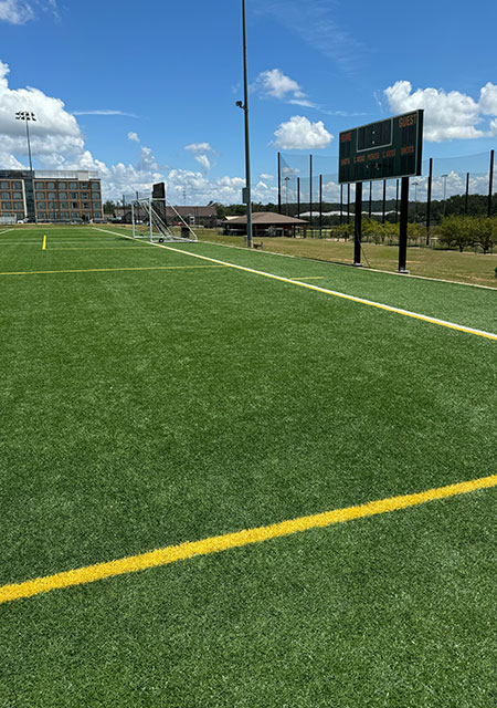 turf field